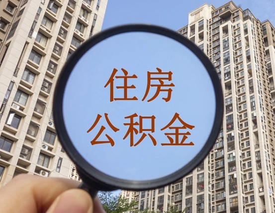 枣阳公积金自动离职可以取吗（住房公积金自动离职可以取吗）